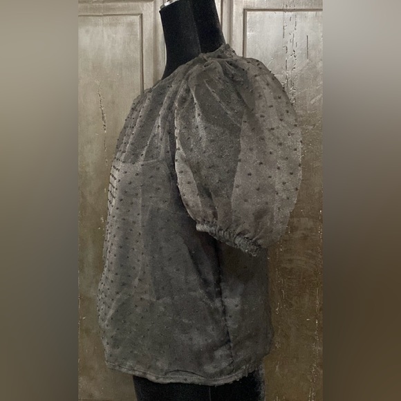 Tiny Willow black sheer crop top with attached cami - Size Medium - Picture 2 of 10